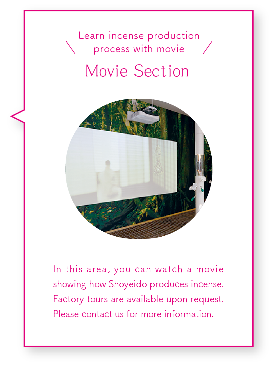 Movie Section