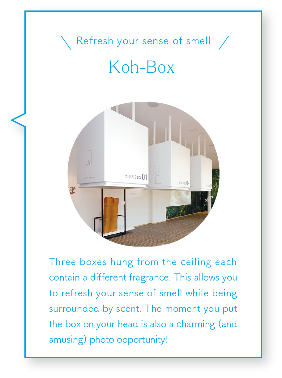 Koh-Box