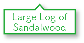 Large Log of Sandalwood