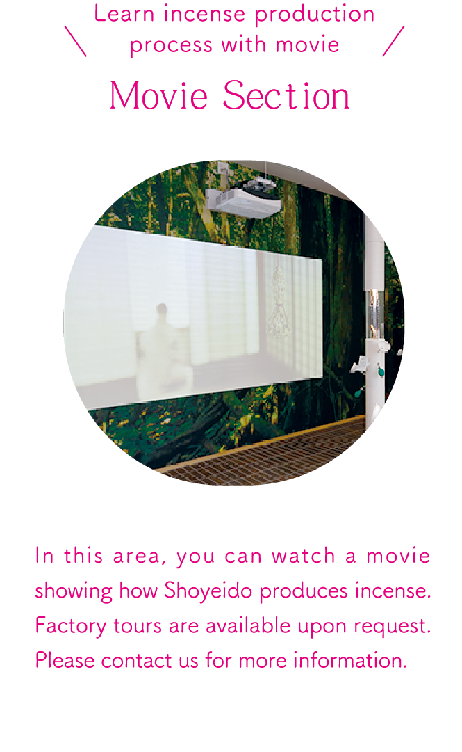 Movie Section