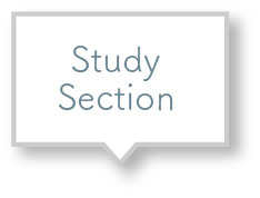 Study Section