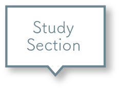 Study Section