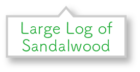 Large Log of Sandalwood